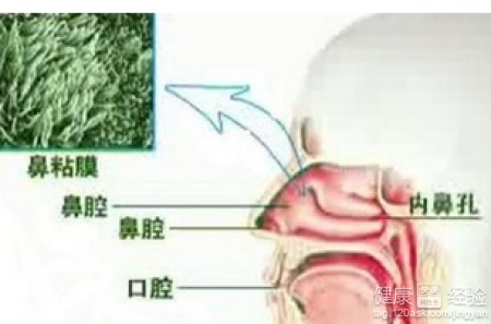 第2步