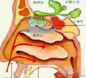 第1步