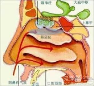 萎縮性鼻窦炎有啥症狀