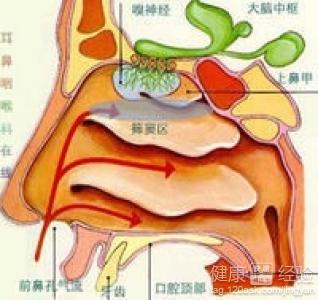 慢性鼻窦炎用哪些方法治療