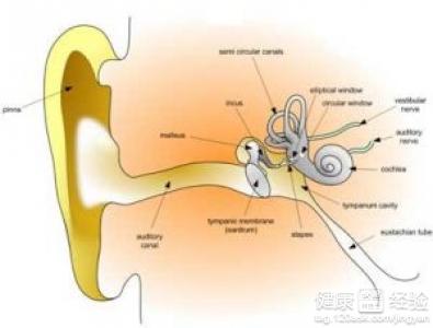 傳導性耳聾是怎麼治療的