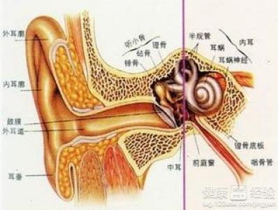 突發性耳聾會引起耳鳴嗎