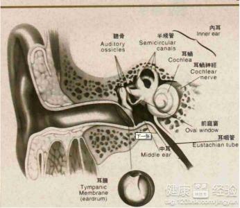 哪些原因會造成耳聾