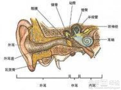 神經性耳聾伴有耳鳴要怎麼護理
