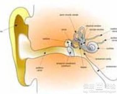 耳膜穿孔和傳導性耳聾能治愈嗎