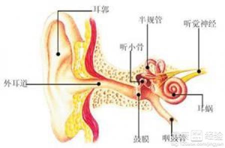 耳鳴的治療方法。