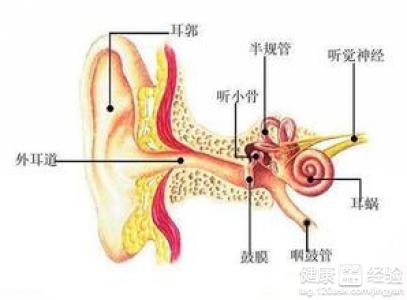 慢性中耳炎可以治愈嗎