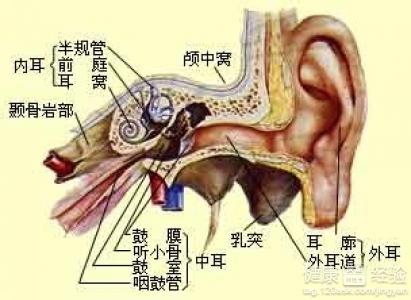 什麼原因造成了孩子的中耳炎