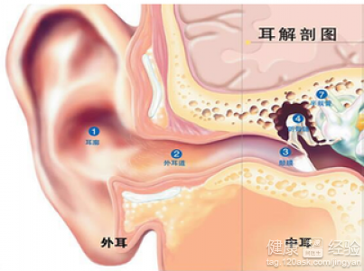 中耳炎治療方法