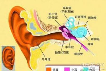 中耳炎吃什麼好