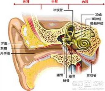 分泌性中耳炎治療用藥遇到的問題