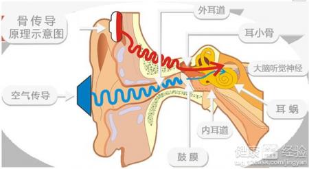 鼓膜穿孔會引發中耳炎嗎