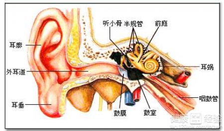 怎麼減輕中耳炎滴耳時的疼痛