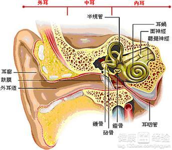 中耳炎引起的耳膜穿孔該怎麼辦