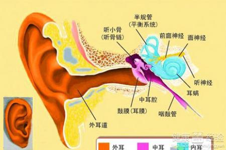 治療化膿性中耳炎有什麼妙方嗎？