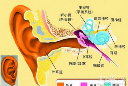 中耳炎的病人應該吃什麼？