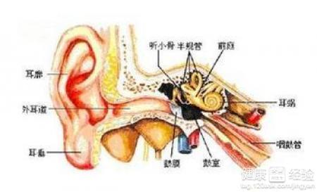 中耳炎需要怎麼治療