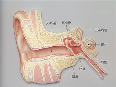 急性耳外傷有什麼治療的方法