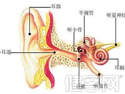耳廓軟骨膜炎的症狀是什麼 如何采取治療措施