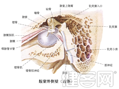 聽力障礙該用助聽器還是人工耳蝸？