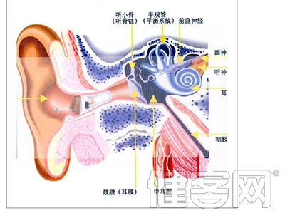治療耳鳴的偏方介紹