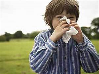 如何鑒別過敏性鼻炎和感冒