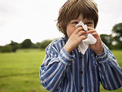 過敏性鼻炎有哪些分類？