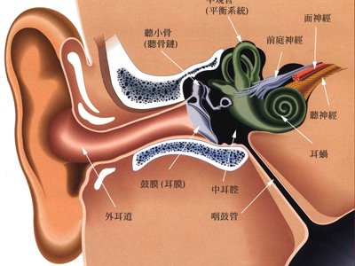 耳聾對老人造成的影響