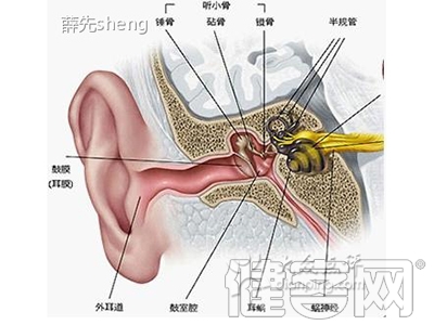 老年人該怎麼預防耳聾耳鳴