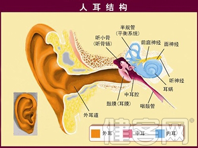 穴位的按摩對治療耳鳴有幫助嗎