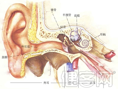 針灸治療耳鳴耳聾有啥“中醫依據”?