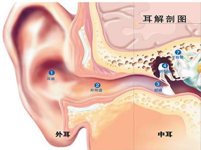 引起中耳炎的原因 中耳炎如何治療？