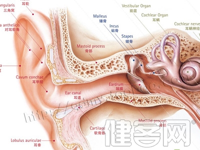 急慢性中耳炎是如何區分的