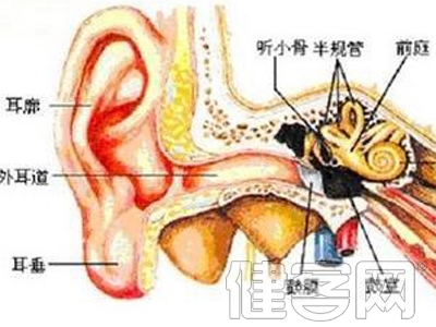 中耳炎的口服藥物治療方法