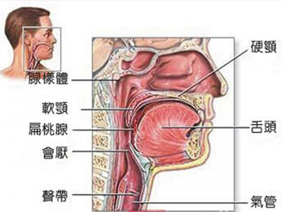 喉炎的護理方法