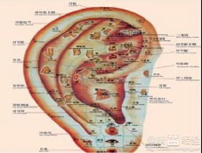 神經性耳聾是怎麼形成的