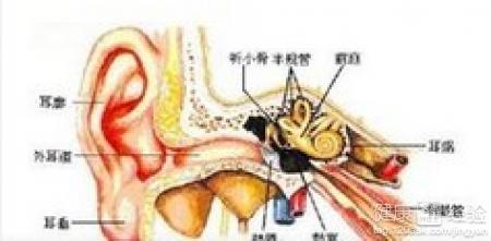 男突發性耳聾耳鳴如何治療