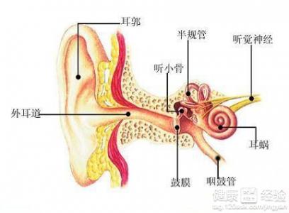 治療耳鳴小竅門