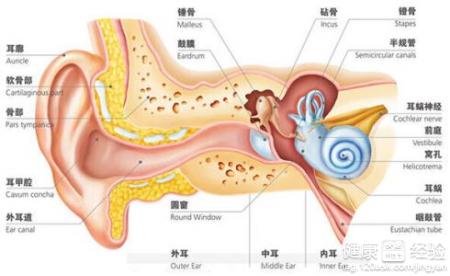 慢性化膿性中耳炎的其他檢查