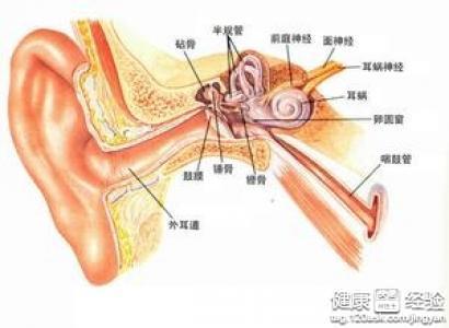 中耳炎診斷策略是什麼