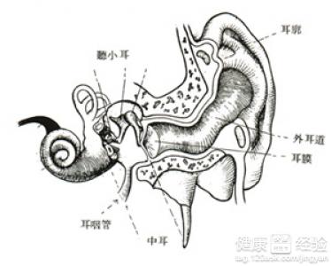產生中耳炎的原因是什麼