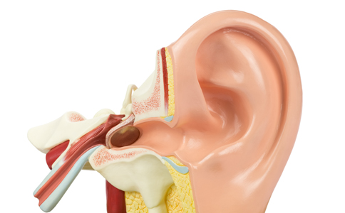 中耳炎的危害 中耳炎有什麼危害 中耳炎的危害有哪些
