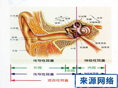 神經性耳聾症狀 迷路炎 腦血管硬化