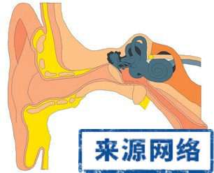 慢性化膿性中耳炎 中耳炎 炎症 並發症 腫瘤